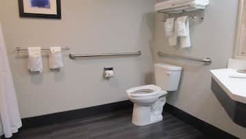 A bathroom with a toilet, handrails, a towel rack, and a framed picture on the wall.
