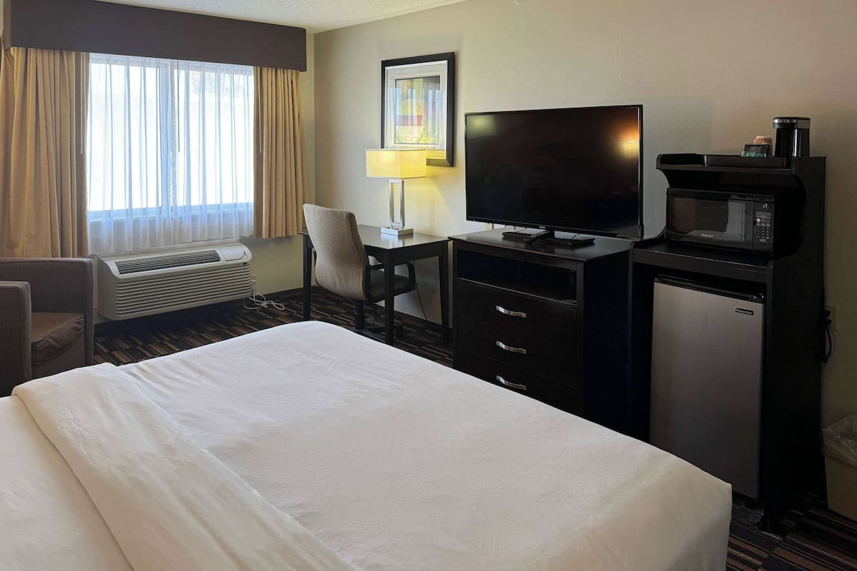 A hotel room with a bed, a desk with a television, a microwave, and a chair.