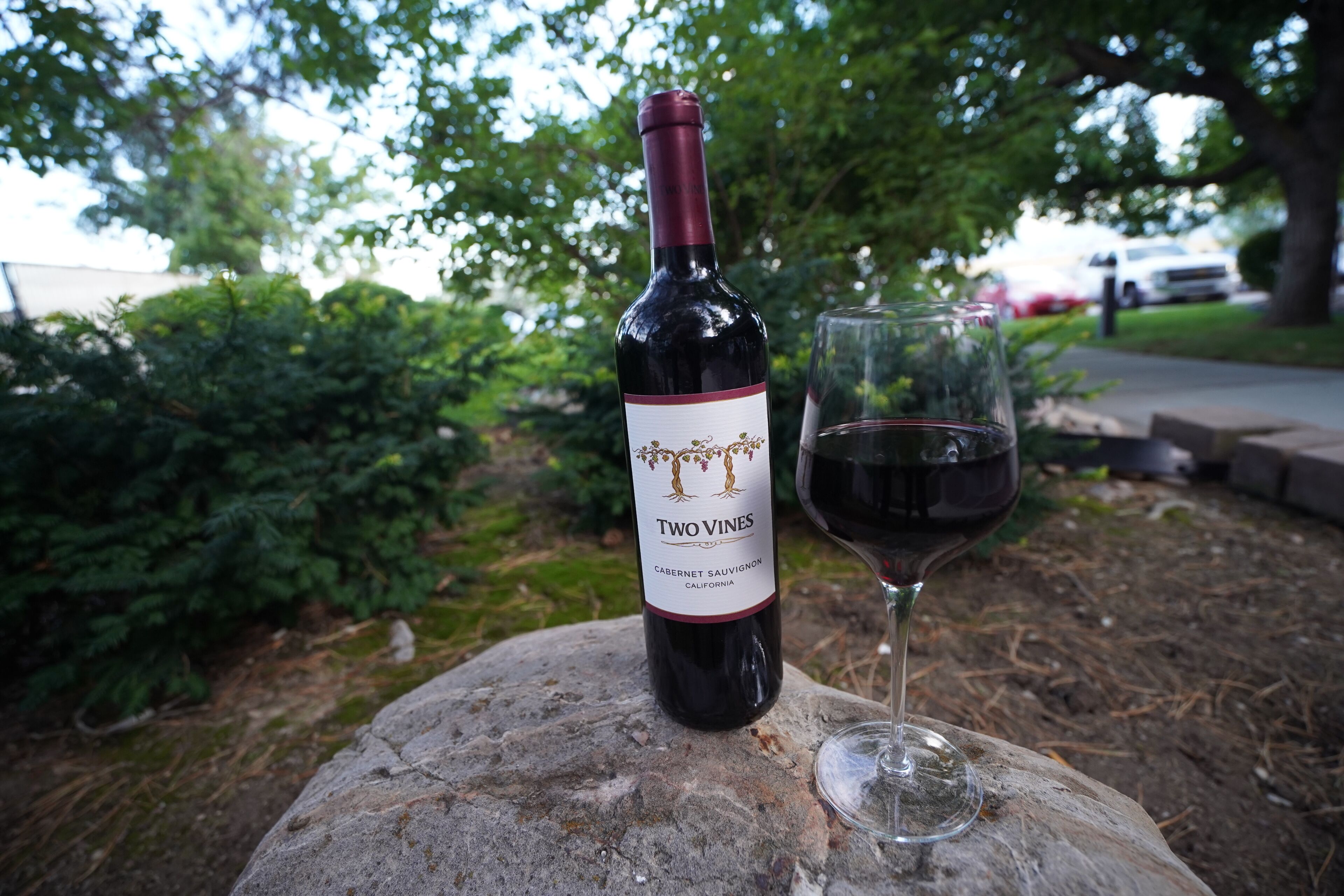 A bottle of Two Vines Cabernet Sauvignon and a wine glass on a rock outdoors.