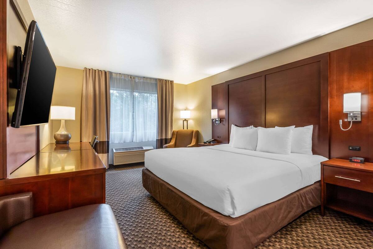 A hotel room with a large bed, a desk with a flat-screen TV, a chair, a lamp, and a window with curtains.
