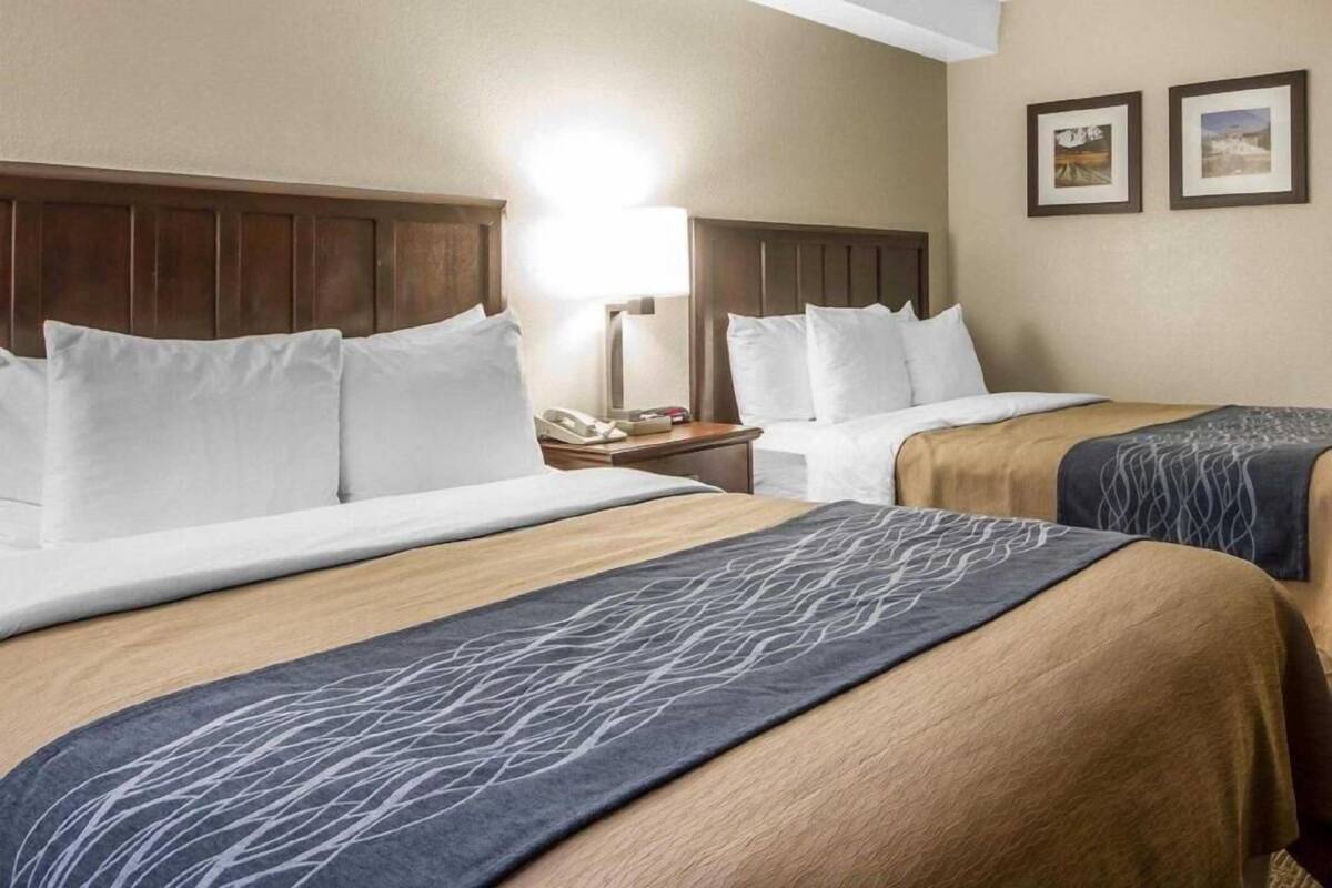 A hotel room with two beds, a nightstand with a lamp, and two framed pictures on the wall.