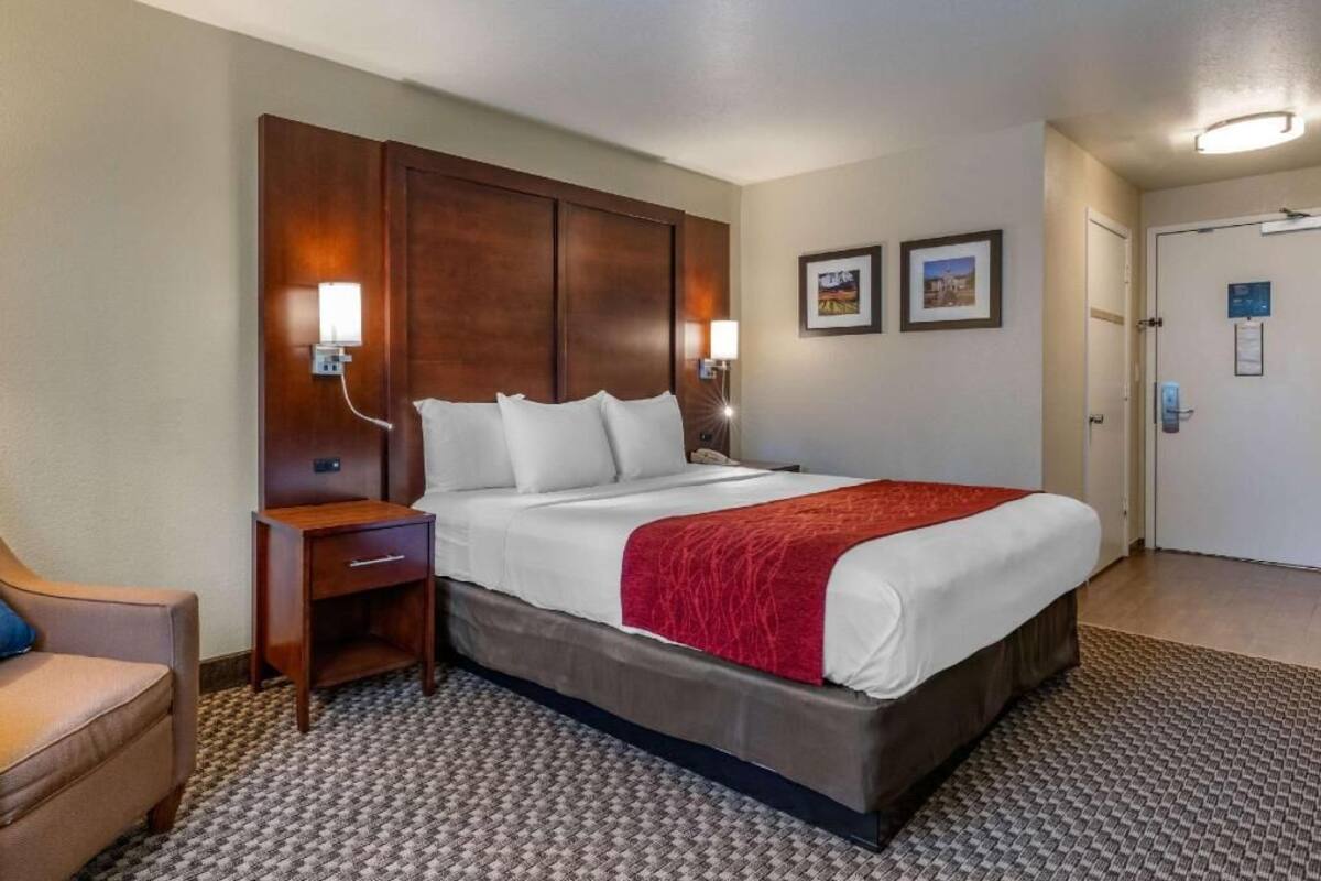 A hotel room with a large bed, a bedside table, a lamp, and a door.