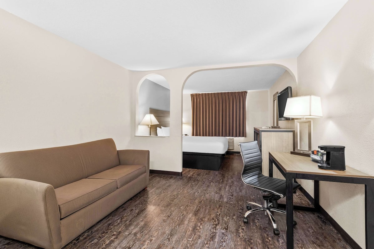 Kamer, 1 kingsize bed (Larger Room;with Sofabed) | Individueel gemeubileerd, een bureau, een laptopwerkplek