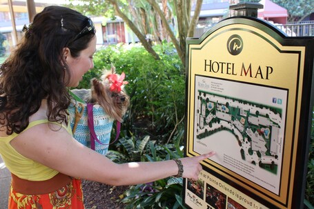 Rosen Inn at Pointe Orlando - Image 77