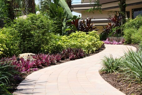 Rosen Inn at Pointe Orlando - Image 10
