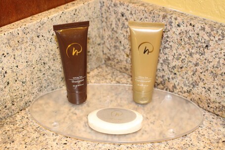 Rosen Inn at Pointe Orlando - Image 75