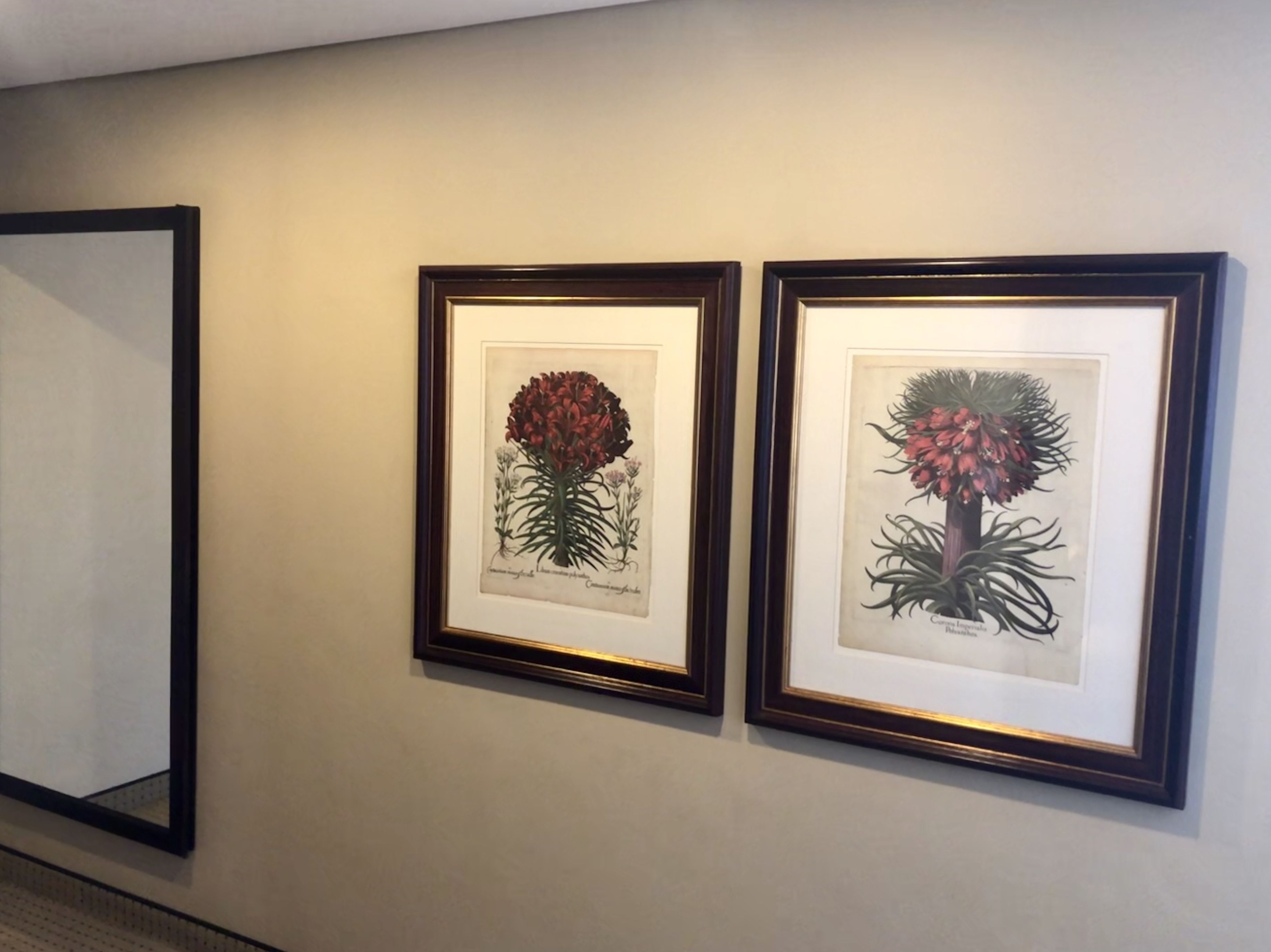 Two framed botanical illustrations on a wall.