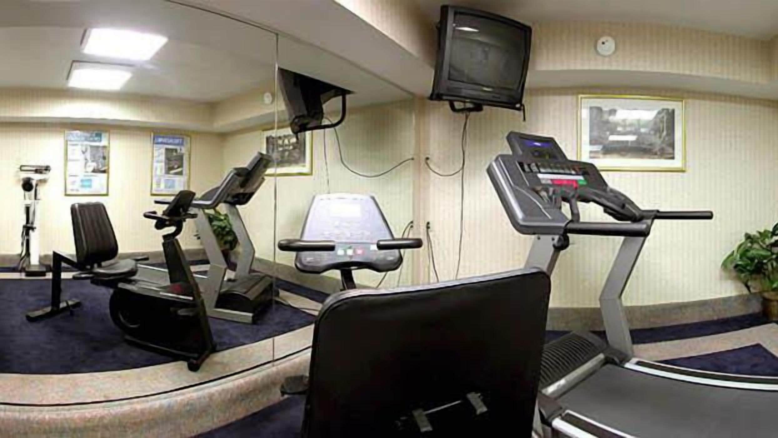 Een sportschool met fitnessapparatuur, waaronder loopbanden, hometrainers en een roeiapparaat.