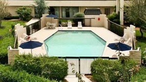 Una piscina rectangular con solárium alicatado, rodeada de vegetación y una valla blanca.