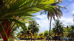 Un jardín tropical con palmeras, un sendero y vista al mar.