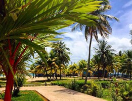 Standard Room, 2 Queen Beds, Garden View | Garden view