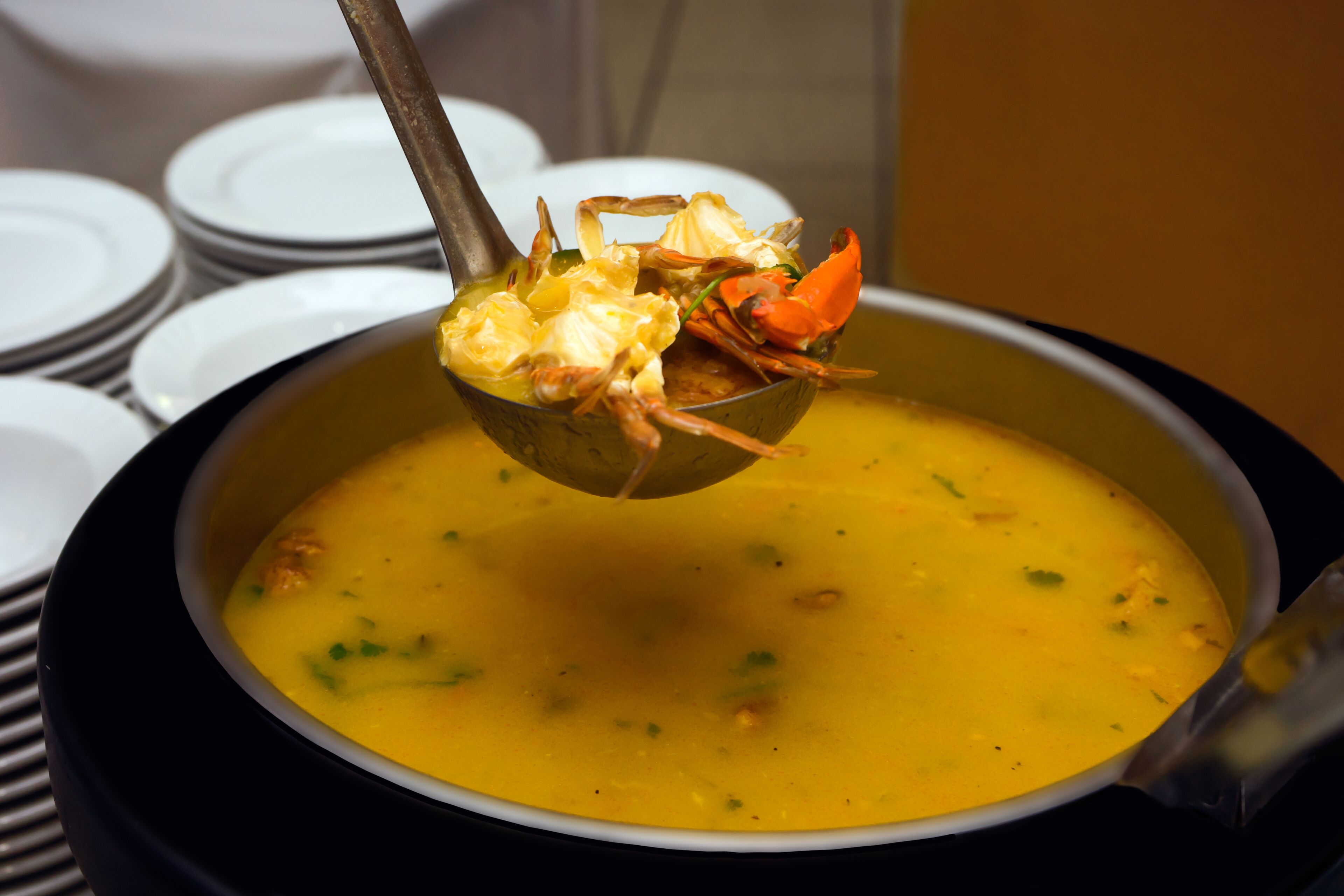 Un tazón de sopa con una cuchara para servir sosteniendo un cangrejo, rodeado de platos.