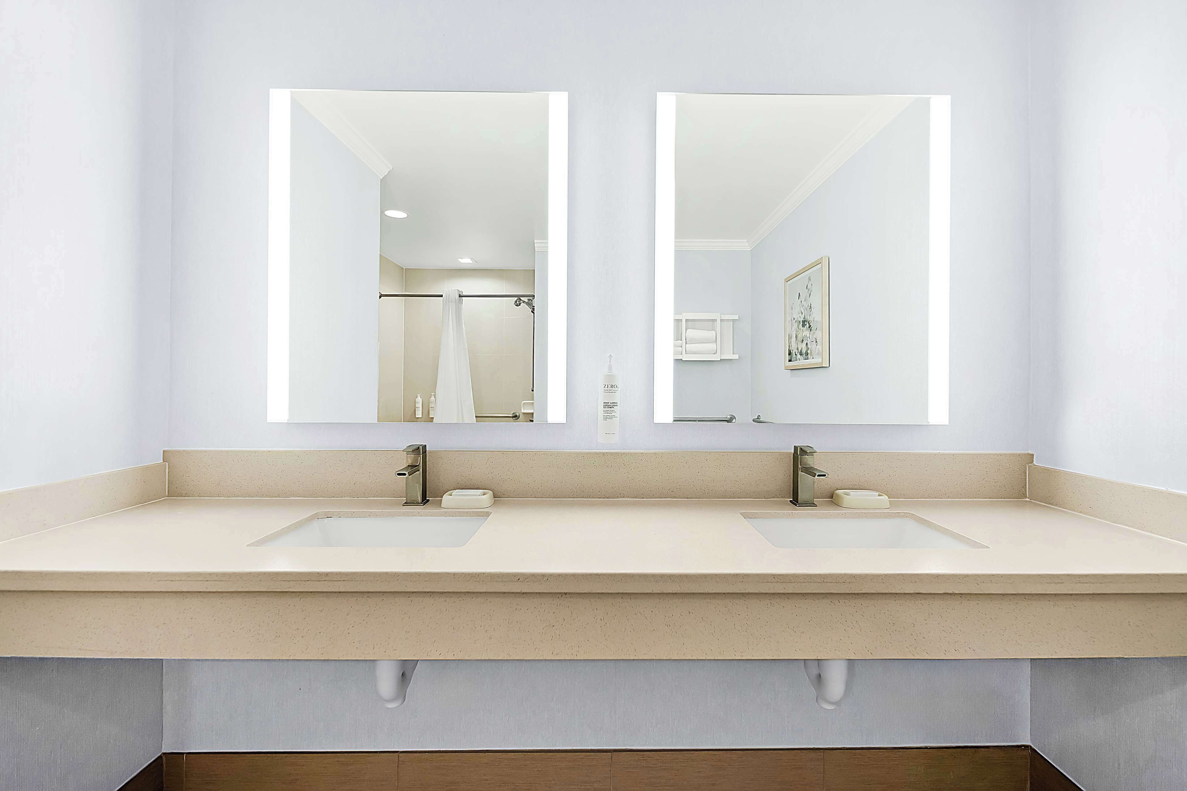 Une salle de bain moderne avec un meuble-lavabo à deux vasques, un grand miroir et un tableau encadré au mur.