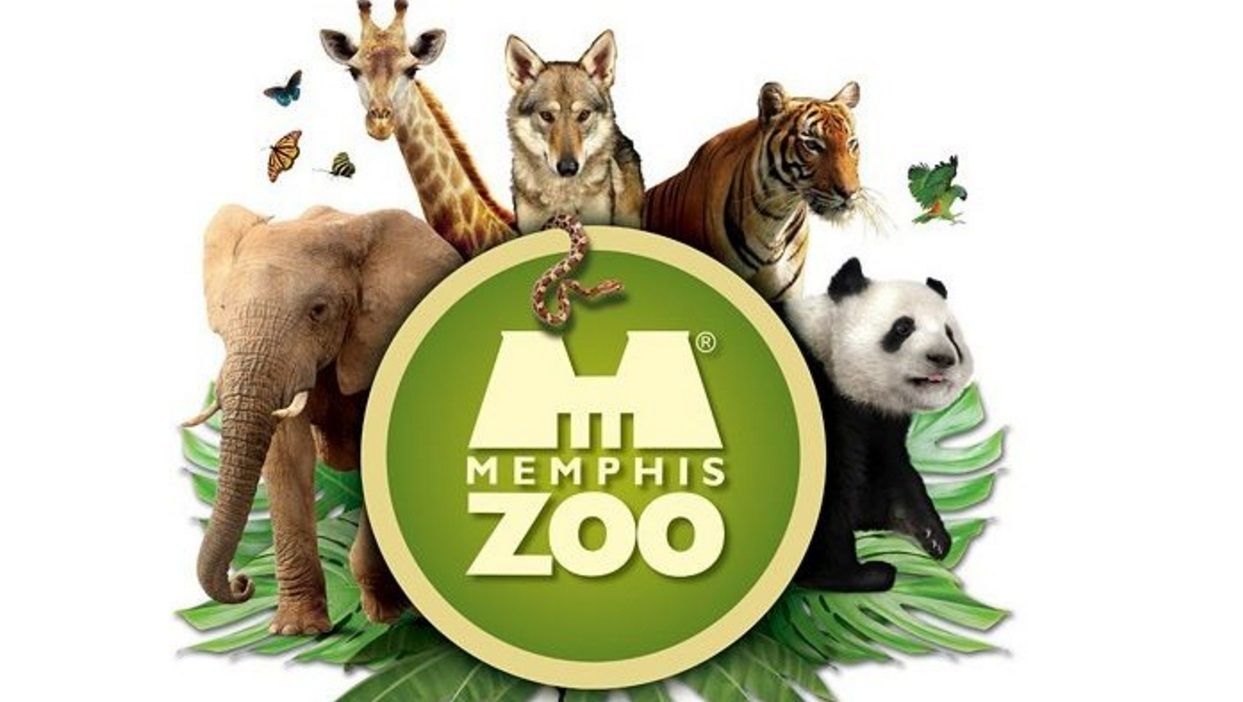 A logo with various animals and the text "Memphis Zoo".
