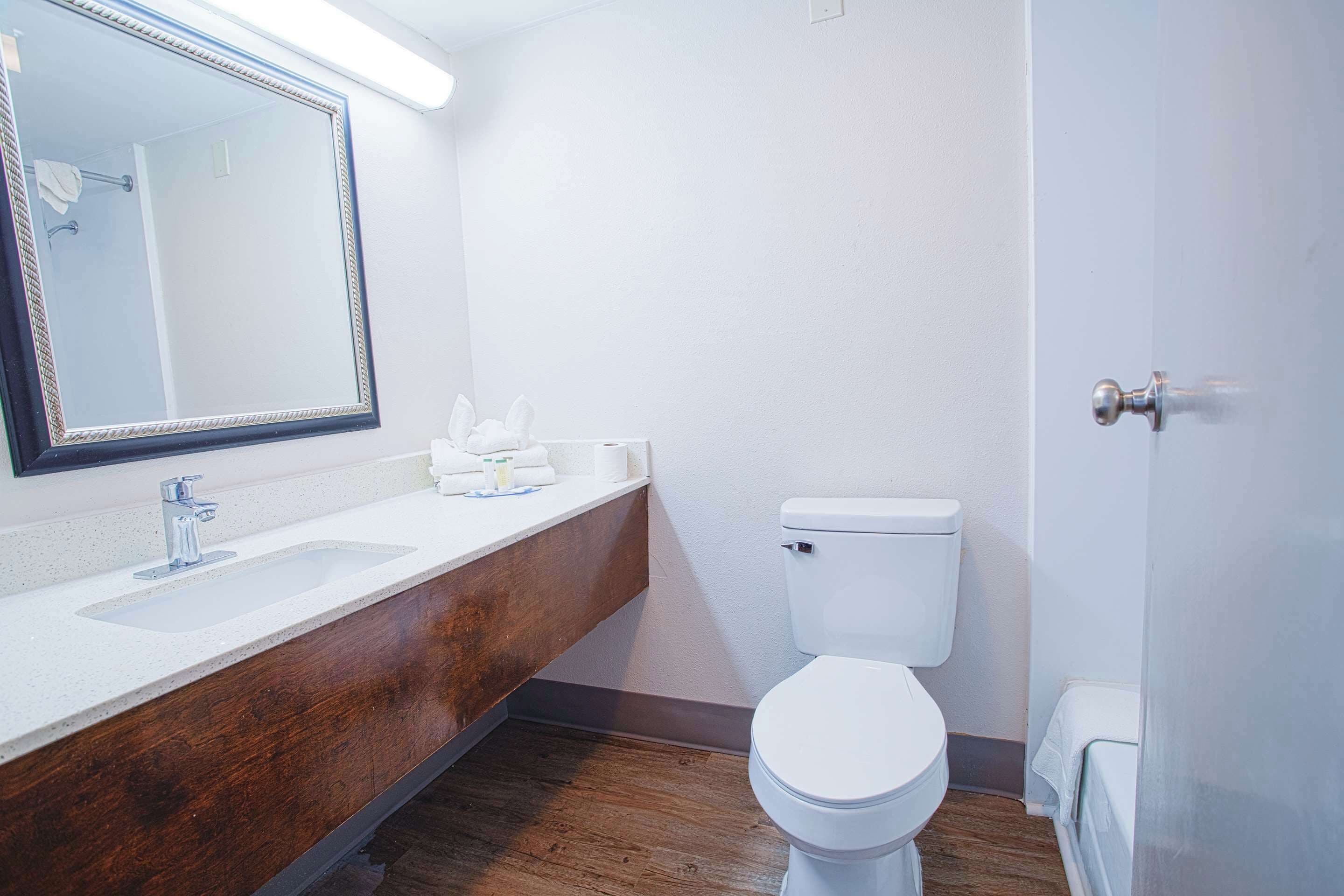 Un bagno con un mobile vanitario in legno, un lavandino, un water e uno specchio grande.