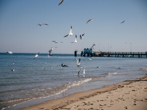 Accommodatie ligt op het strand