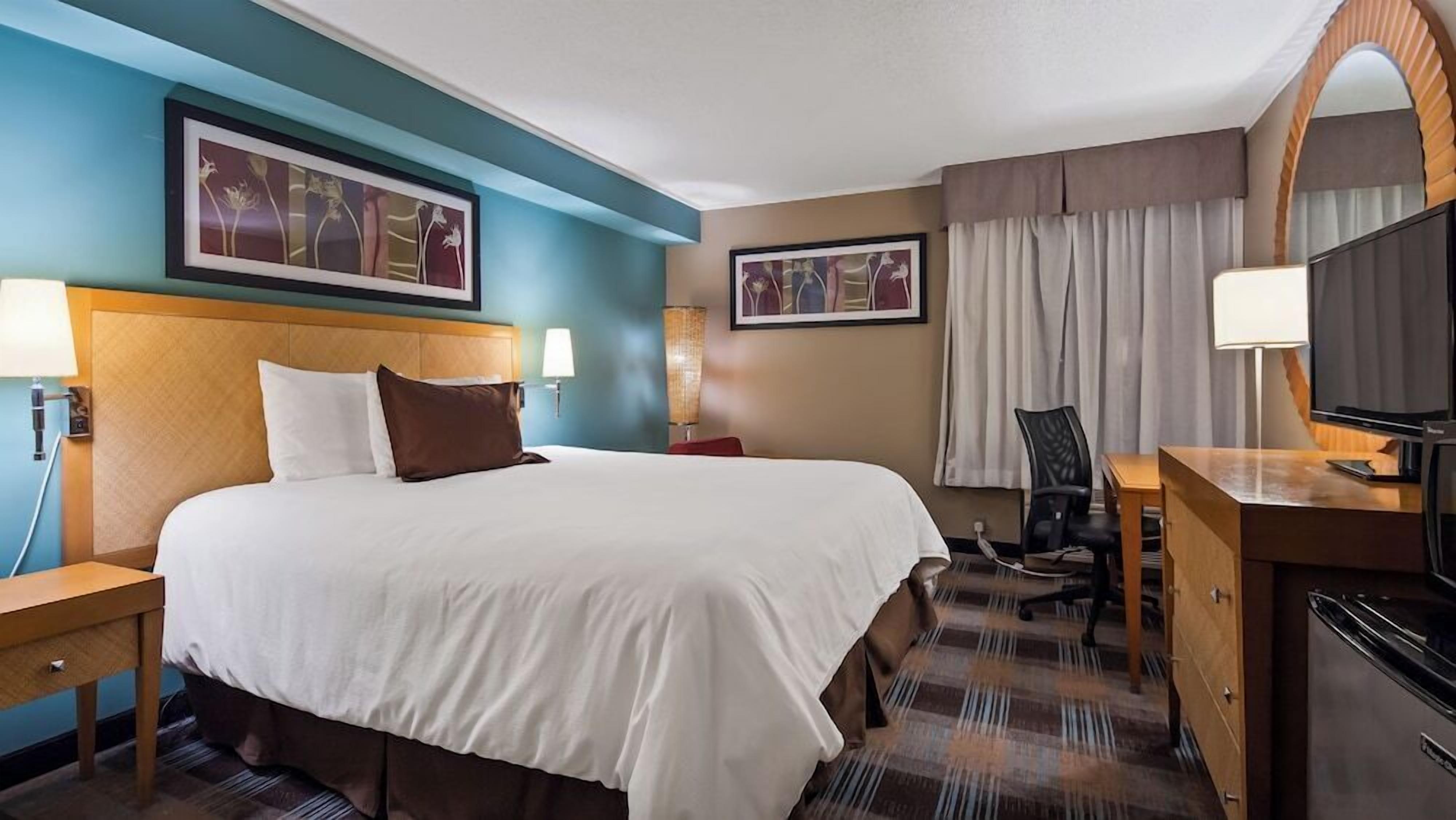 Premium bedding, down comforters, desk, laptop workspace