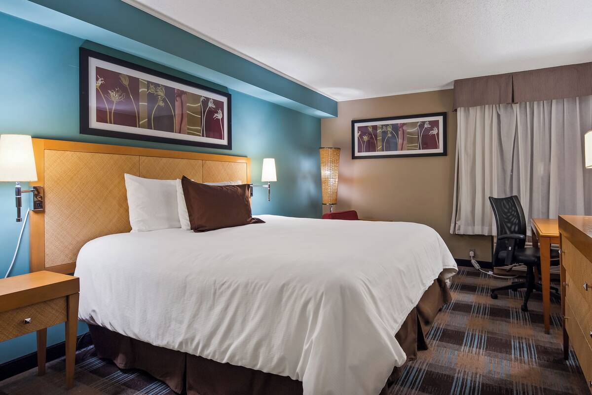 Non Smoking Handicap King | Premium bedding, down comforters, desk, laptop workspace