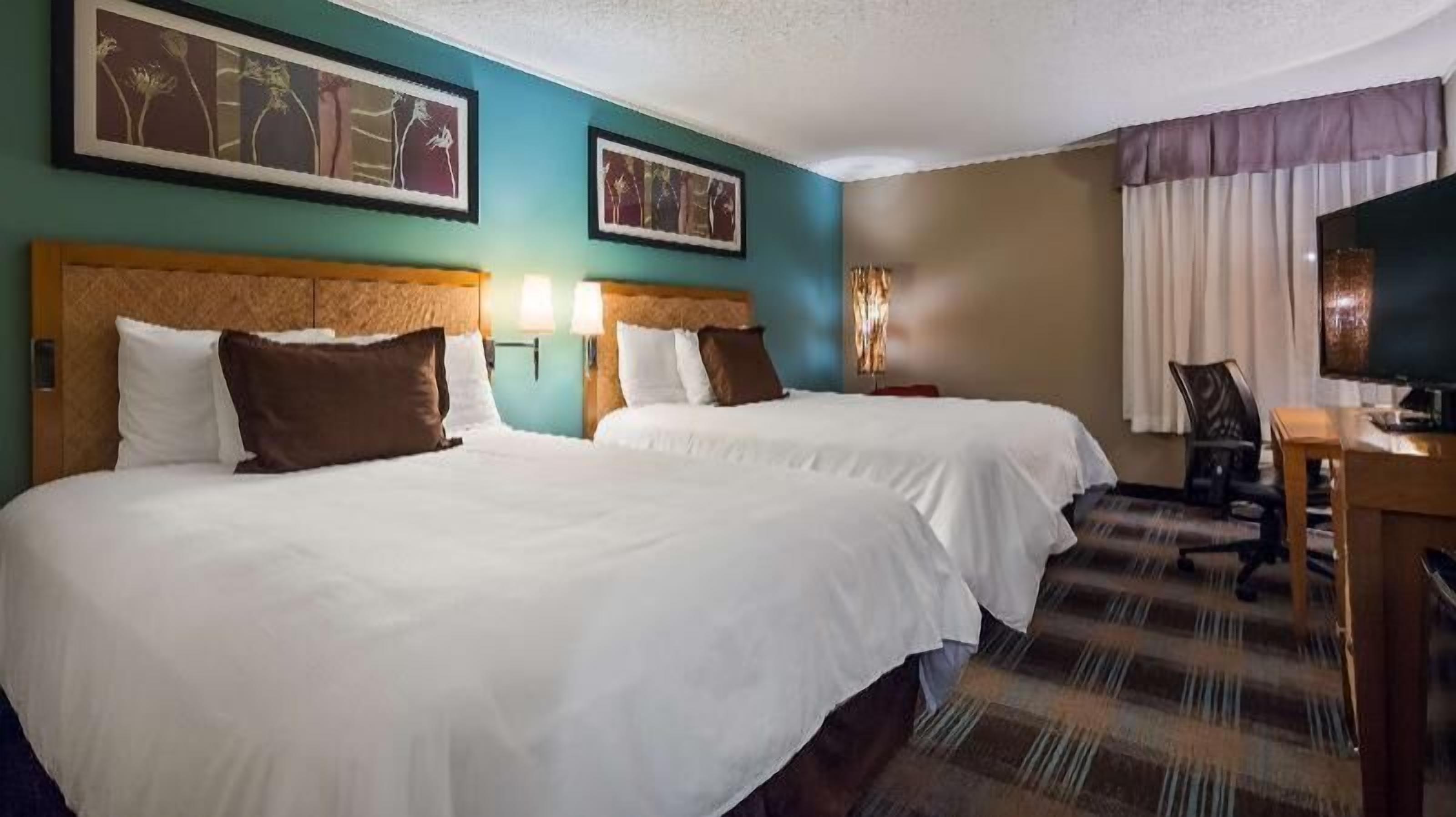 Premium bedding, down comforters, desk, laptop workspace