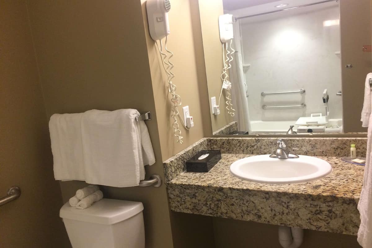 free toiletries, hair dryer, towels