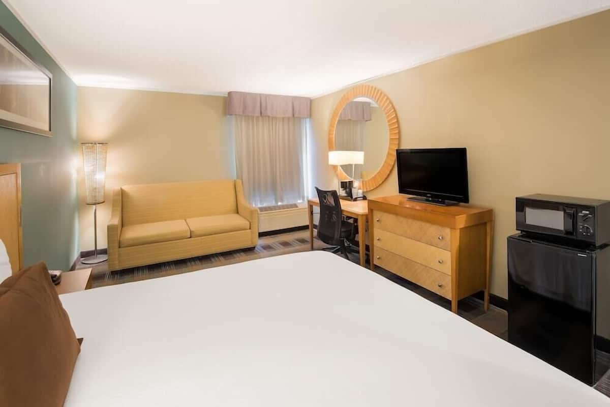 A hotel room with a bed, a sofa, a desk with a TV, a microwave, and a dresser.