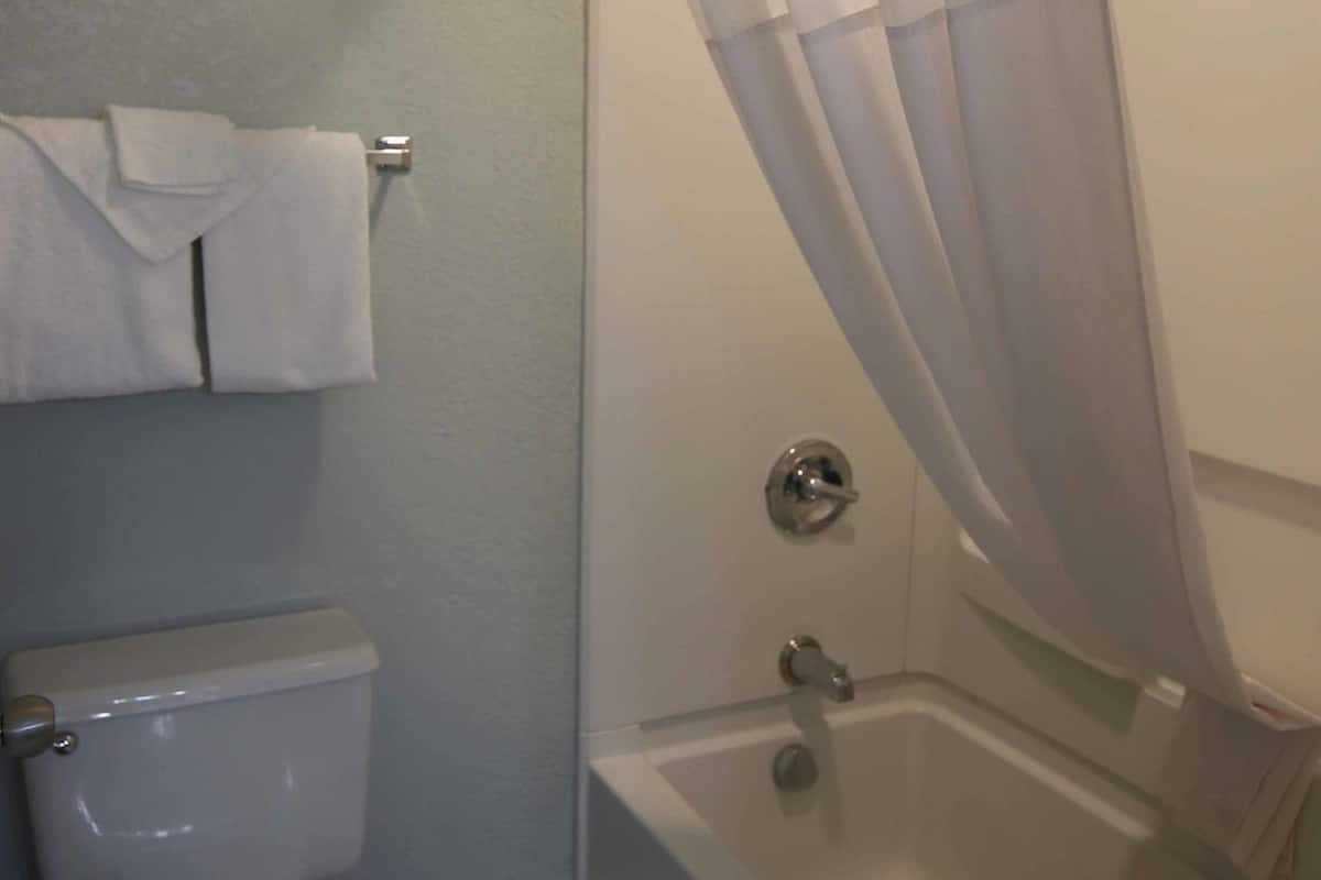 Baño | Amenidades de baño ecológicas, secadora de cabello, toallas, jabón