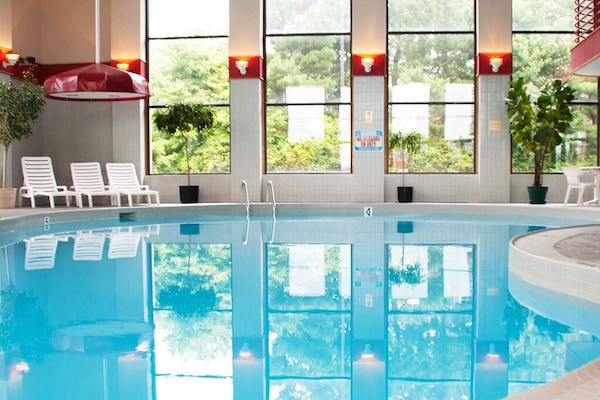 Indoor pool, pool loungers