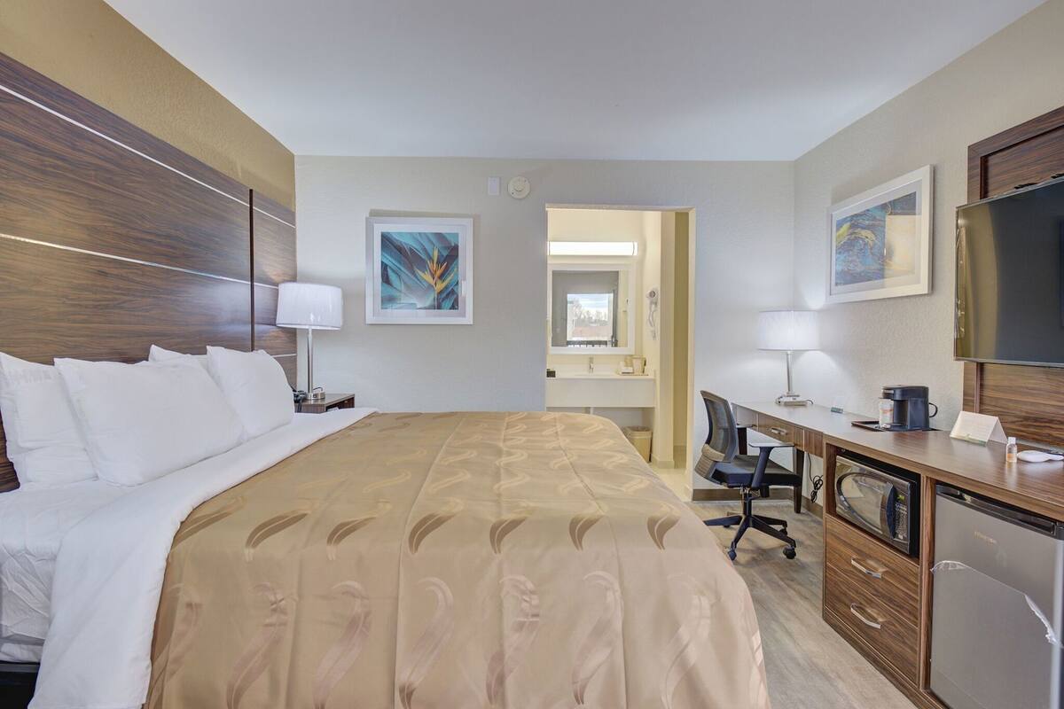 A hotel room with a bed, desk, microwave, and a television.