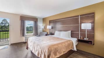 Down comforters, desk, laptop workspace, blackout drapes