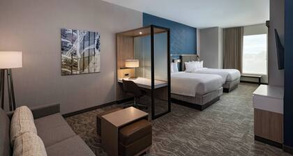 Springhill Suites by Marriott Waco