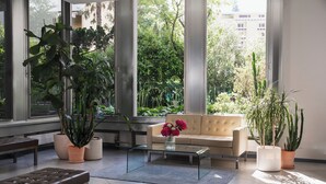 Una sala de estar moderna con un sofá color crema, una mesa de centro de vidrio y un banco. Hay varias plantas en macetas, incluyendo una grande en la esquina y otras más pequeñas alrededor de la habitación.