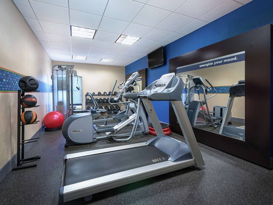 A gym with treadmills, elliptical machines, and free weights.