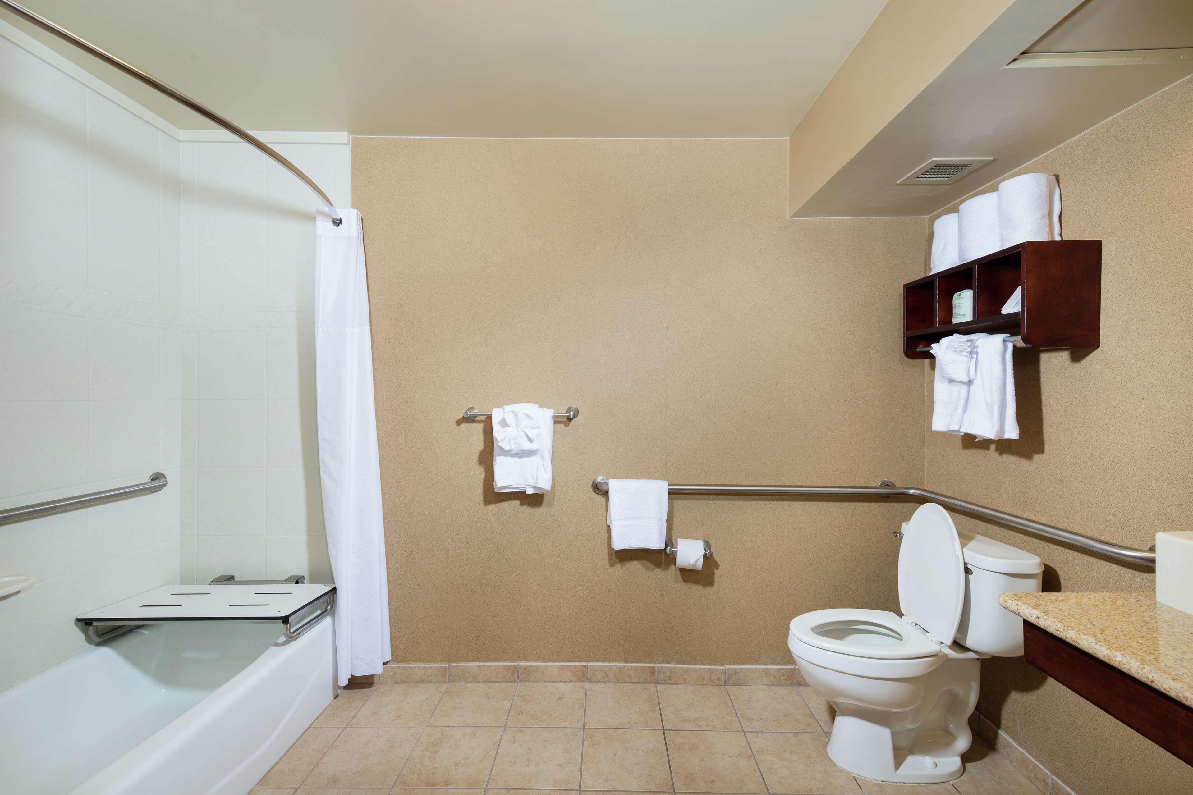 room, 1 queen bed, accessible | bathroom | shower, hair dryer, towels