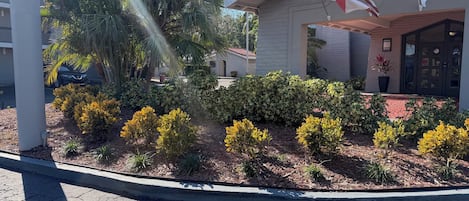 Un edificio con una bandera, un estacionamiento y un jardín con plantas amarillas.