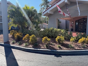 Exterior - La Quinta by Wyndham St Petersburg-Clearwater (Pinellas Park)