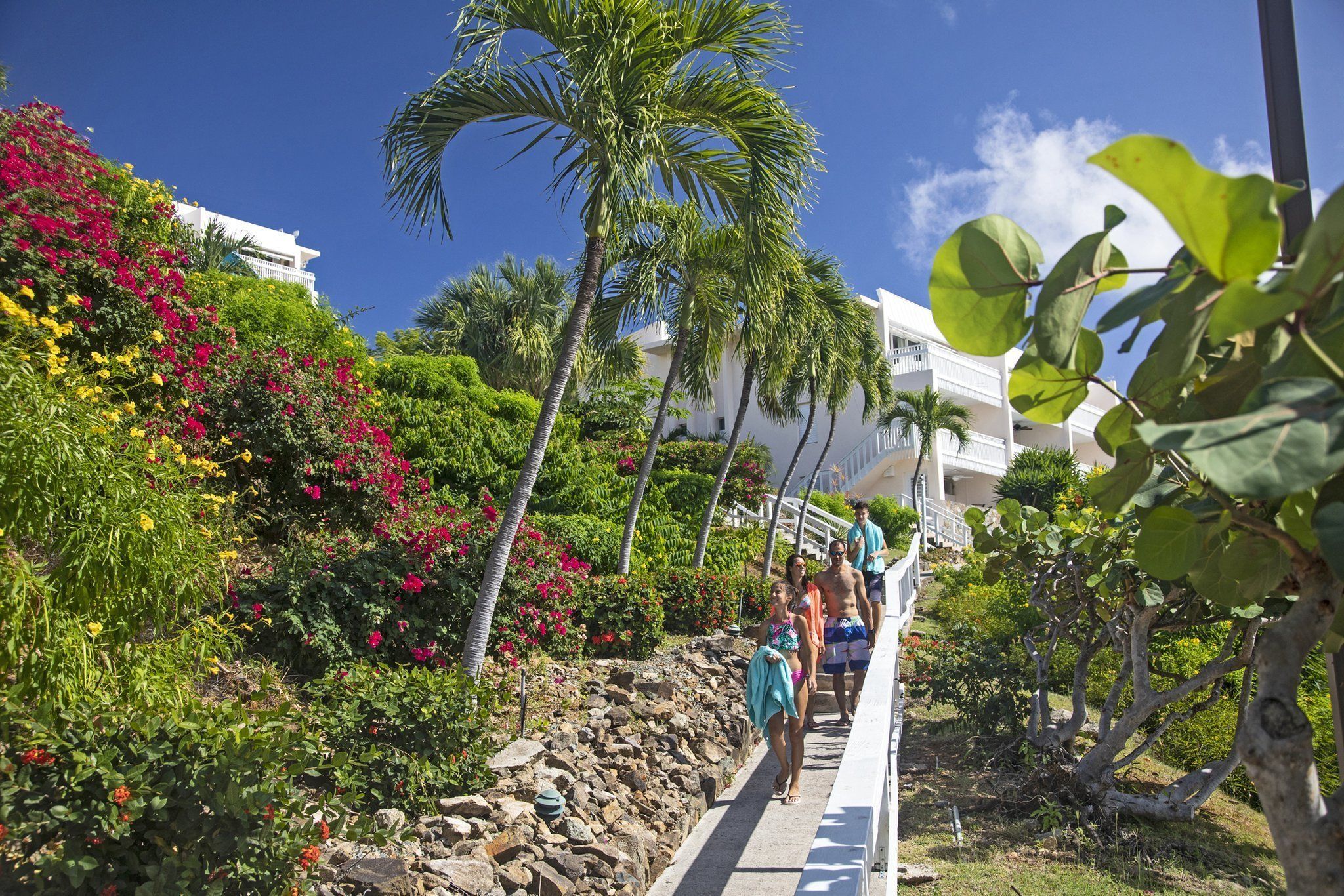 Comodidades da propriedade