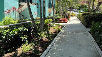 A pathway lined with palm trees and a building with a light blue exterior.