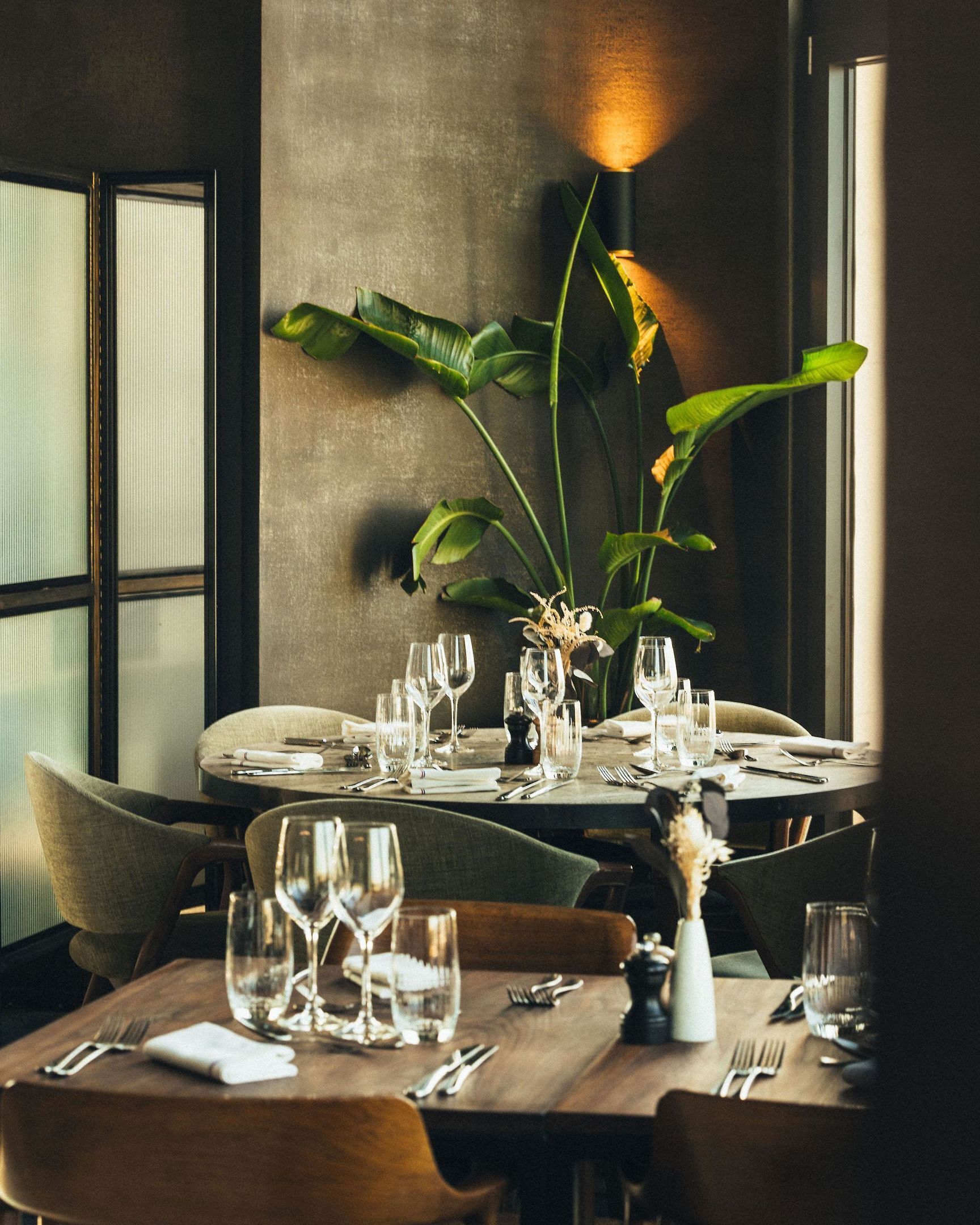 A dining table set with glasses and cutlery, surrounded by chairs, with a large plant in the background.