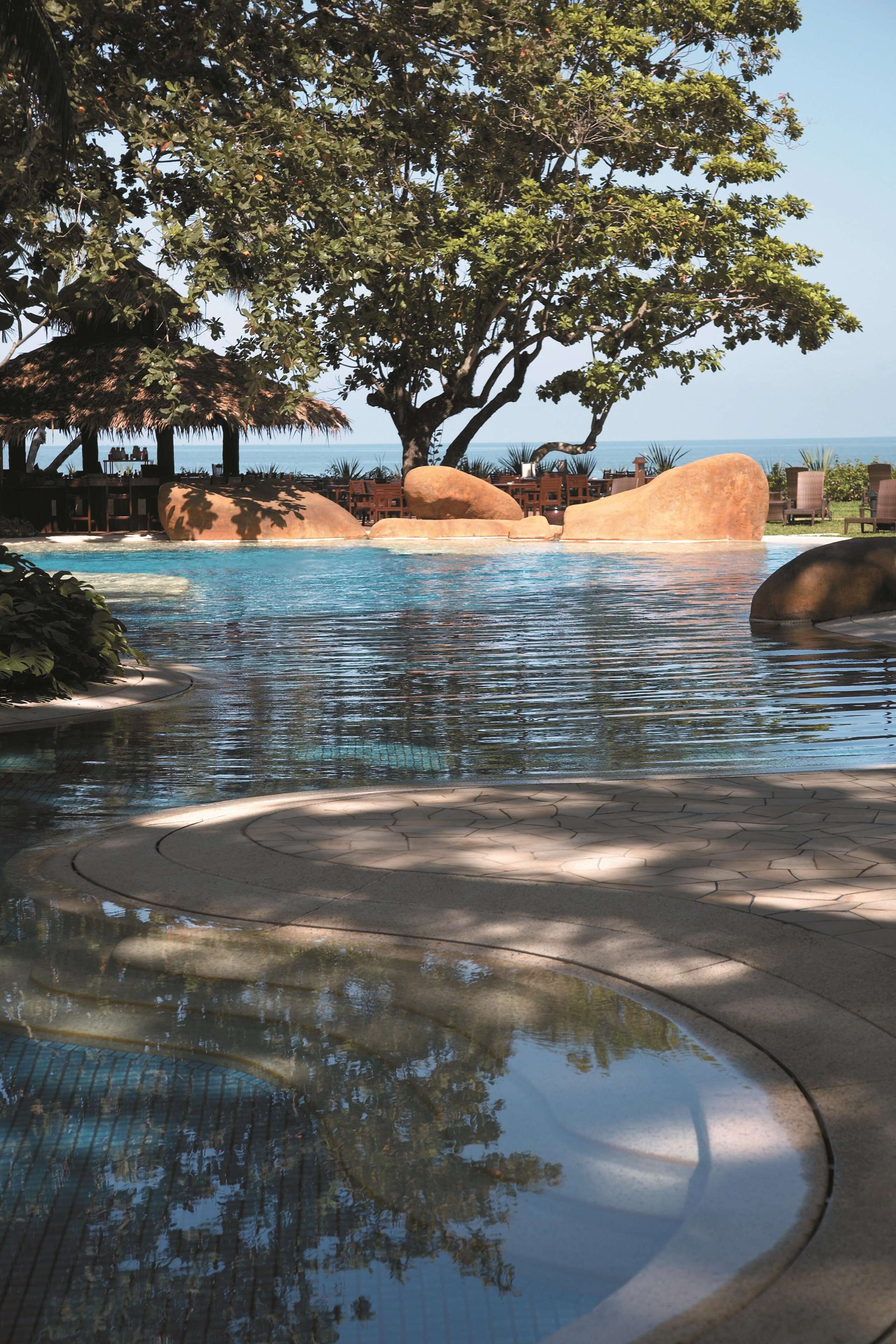 A pool area with a large tree, rocks, and a clear view of the ocean.