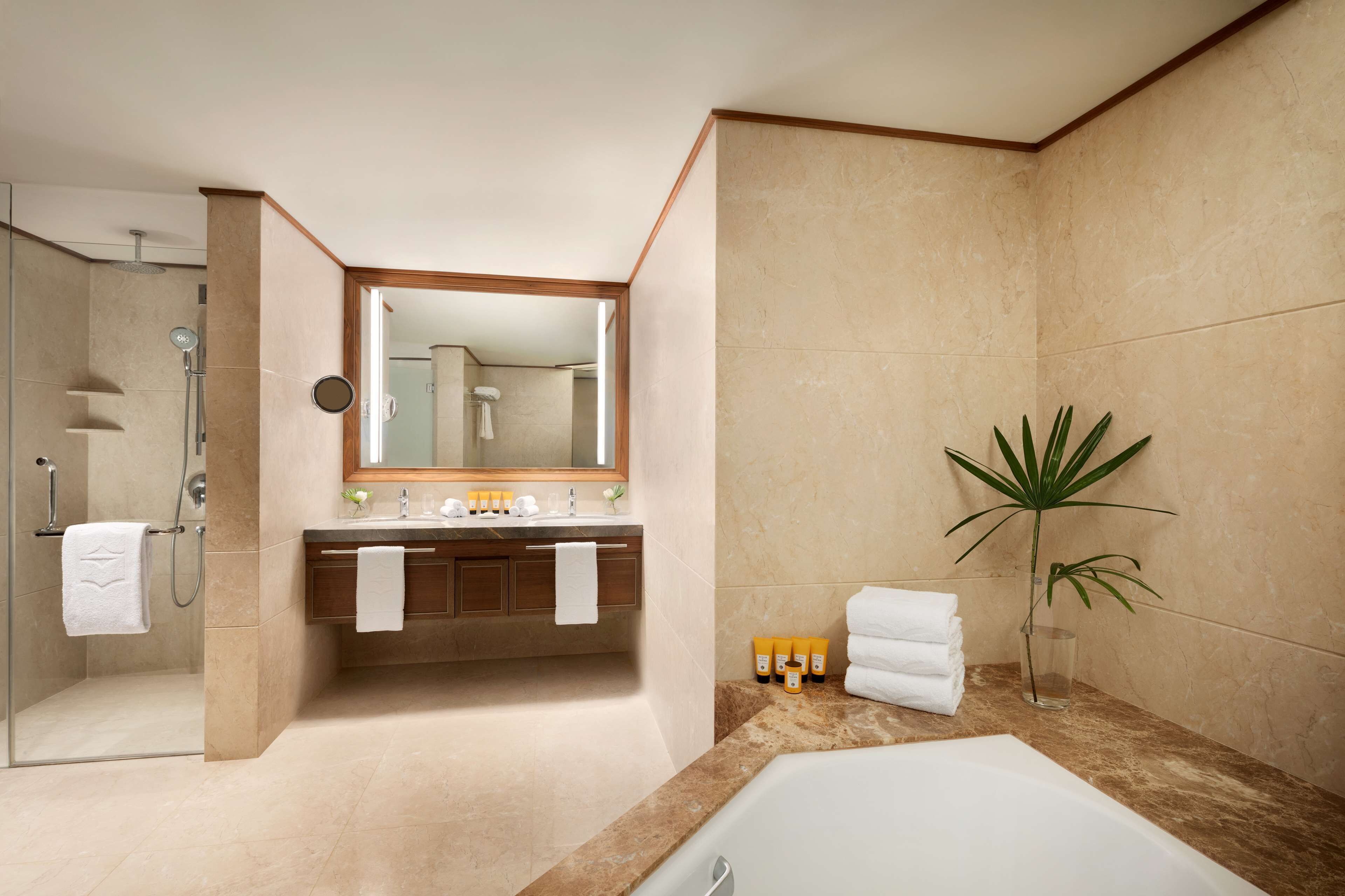 Separate bathtub and shower, deep-soaking bathtub