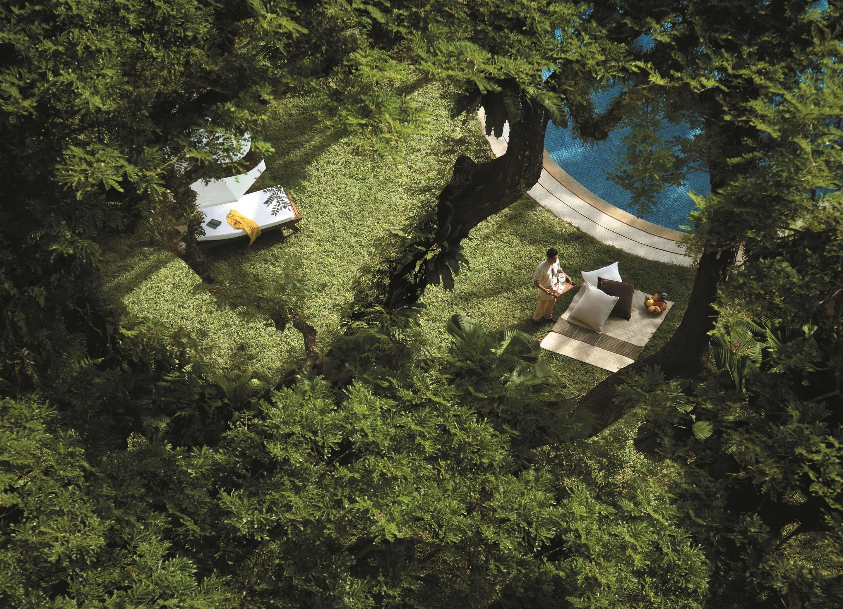 An aerial view of a lush, green outdoor area with a hammock, a small table with a cushion, and a person sitting nearby.