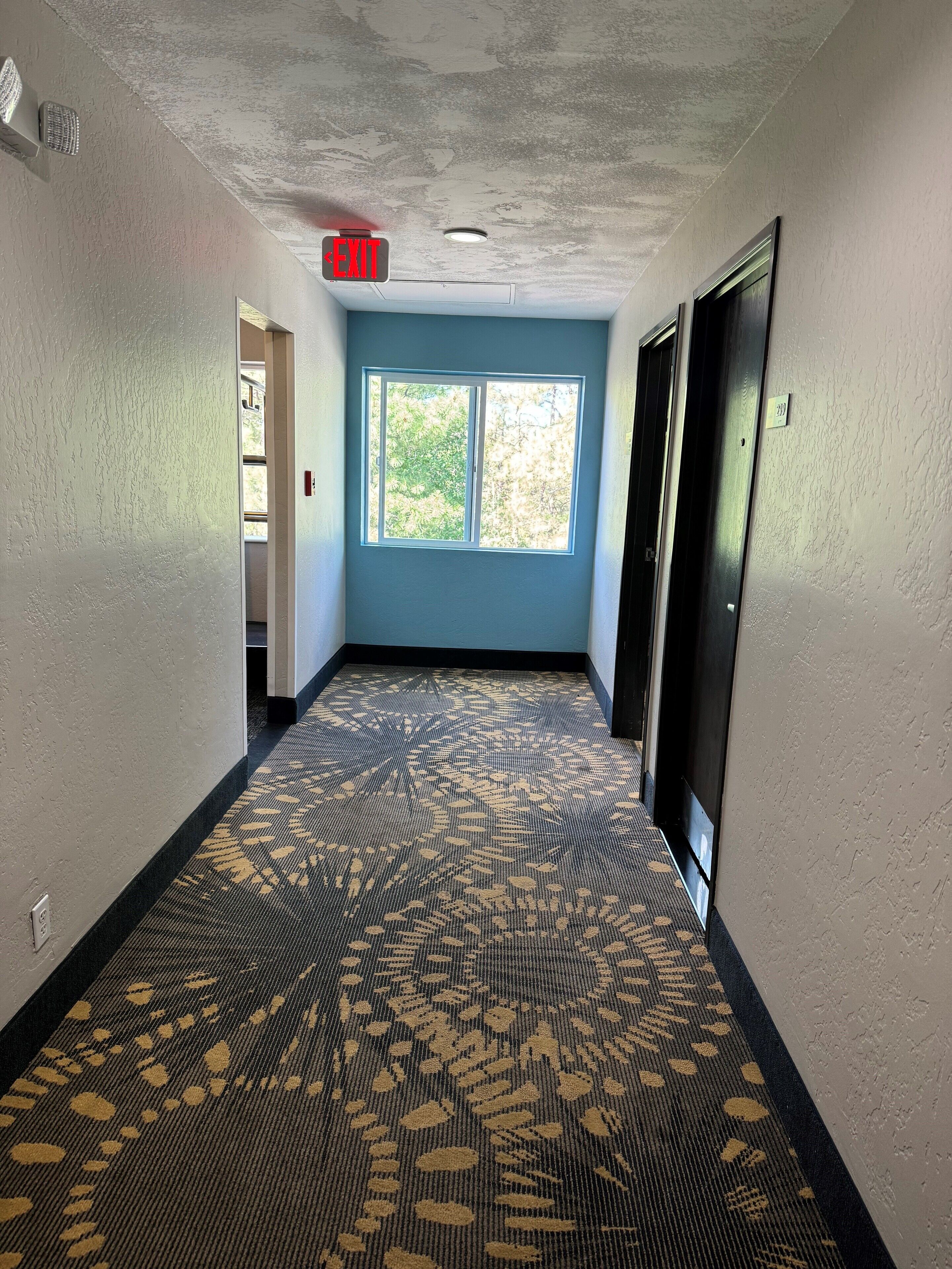 A hallway with a patterned carpet, a blue door, and a window with a view of trees.