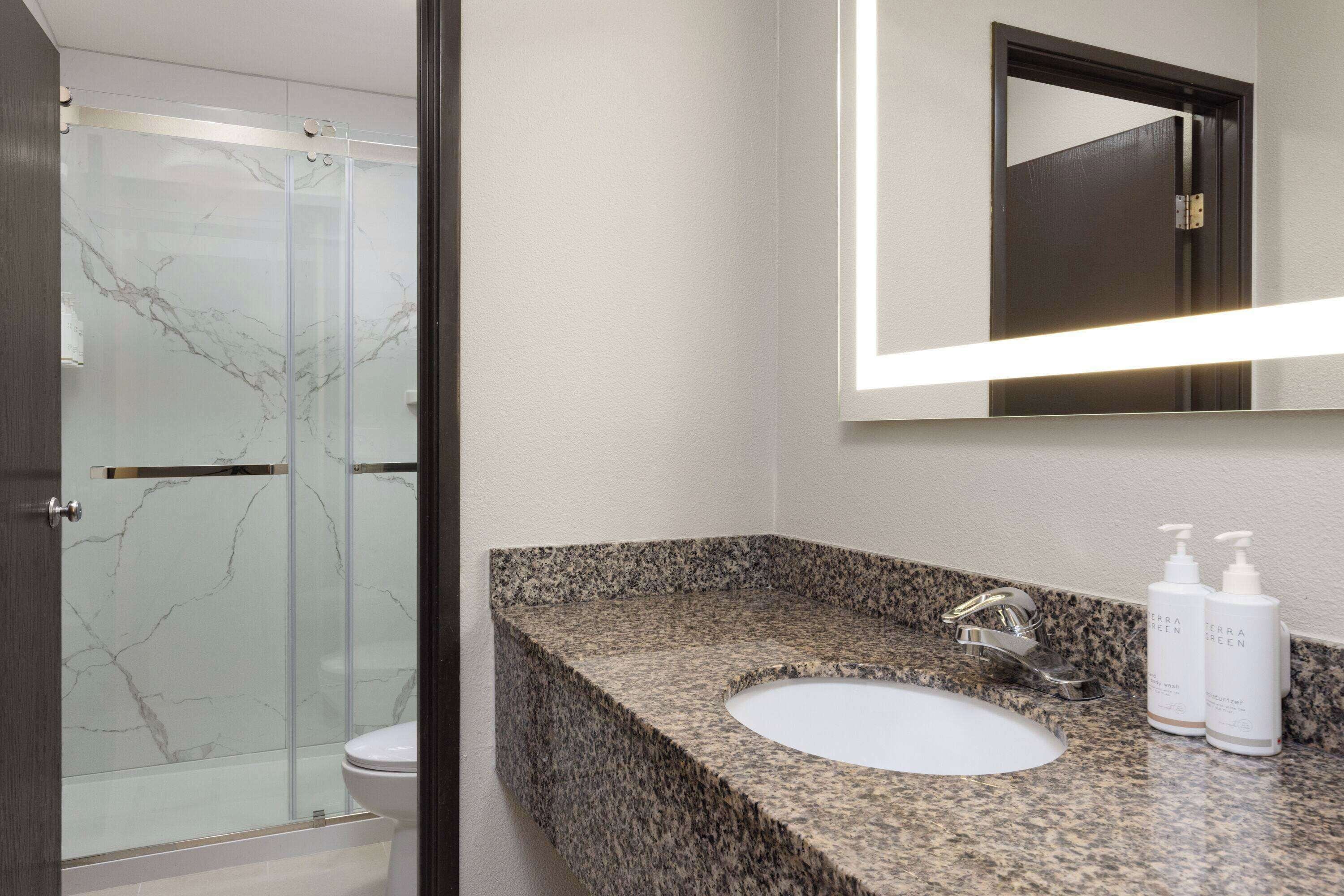 A bathroom with a granite countertop, a white sink, and two bottles of Terra Green.