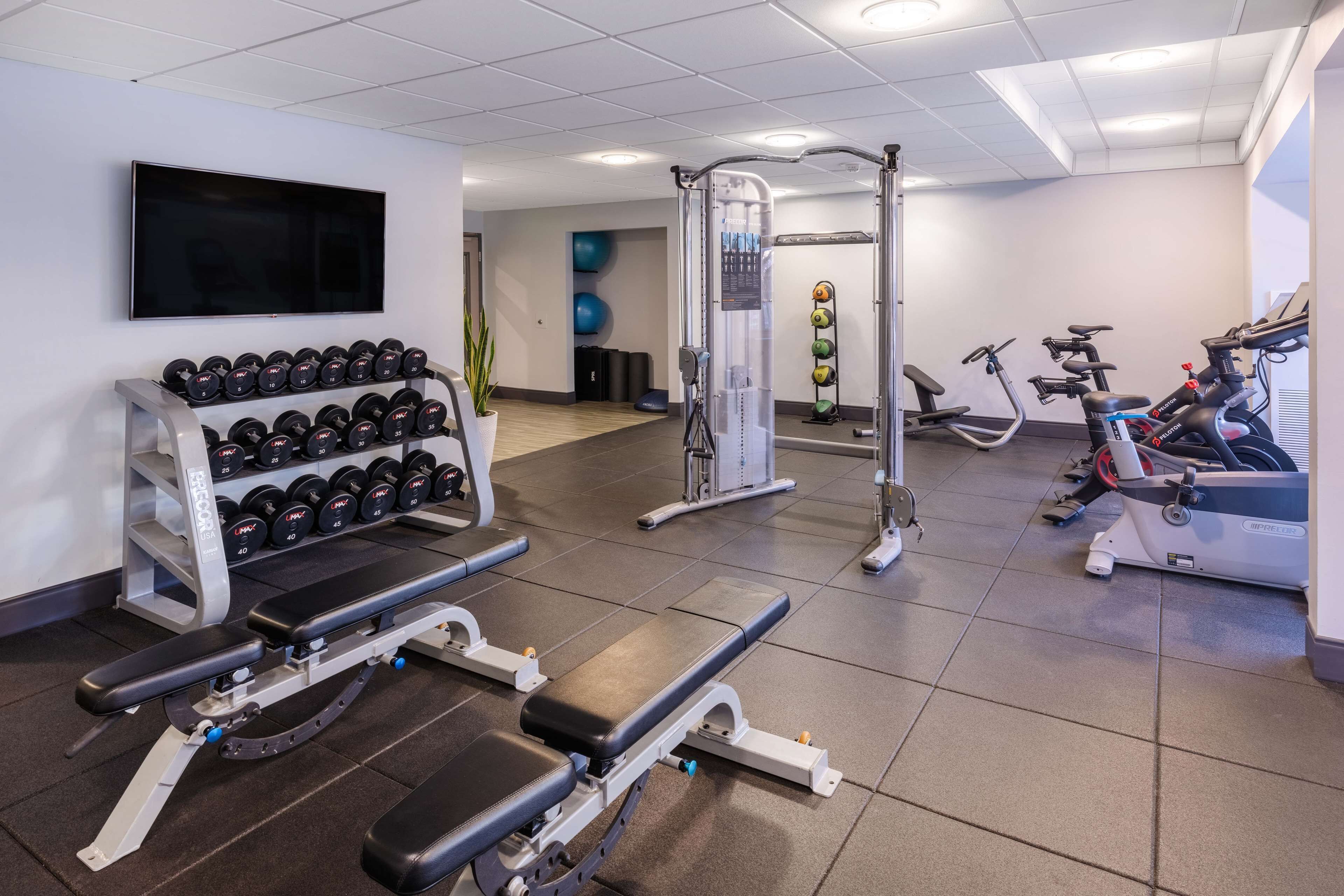 A gym with weightlifting equipment, dumbbells, and cardio machines.