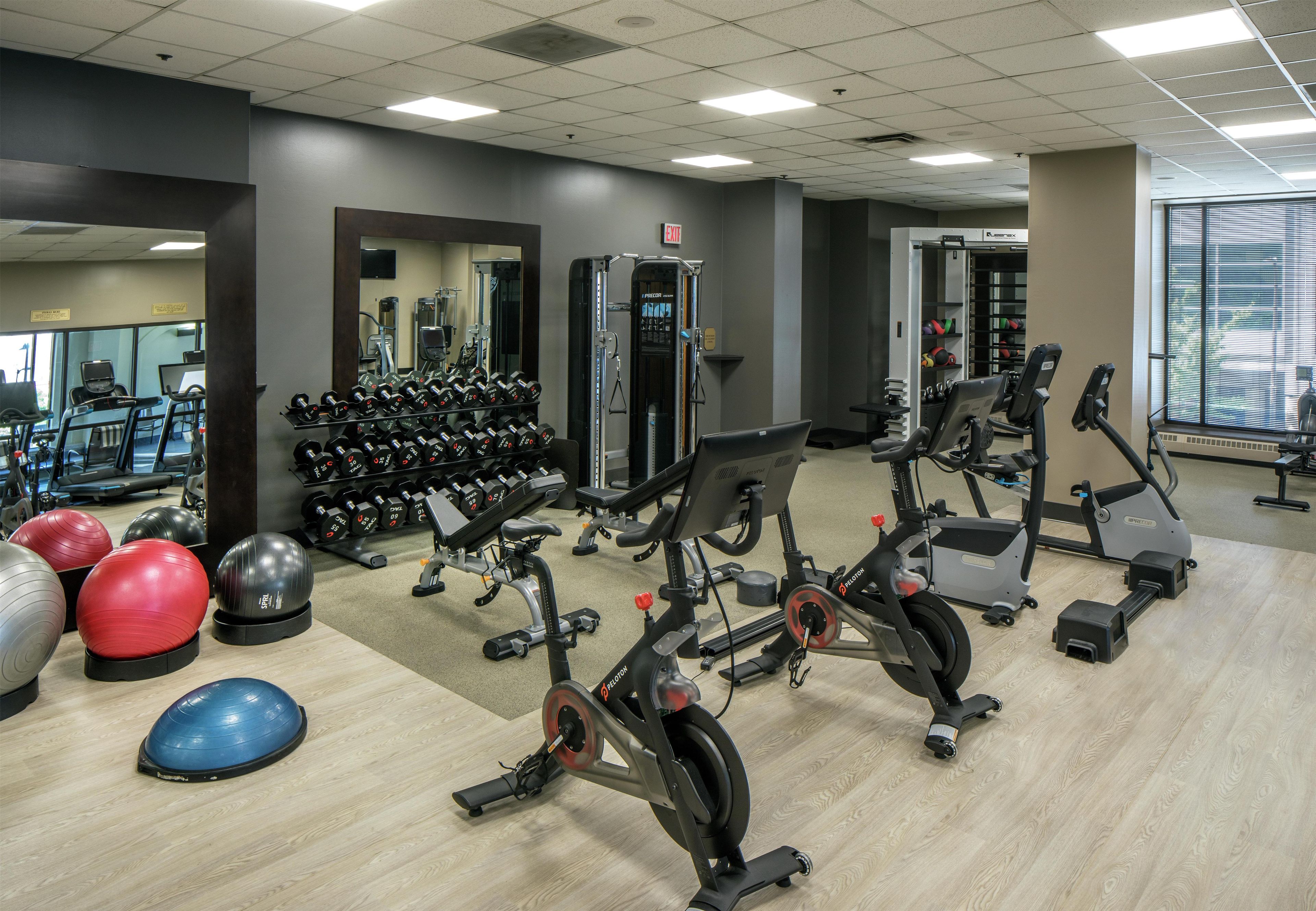 A gym with exercise equipment, treadmills, and free weights.
