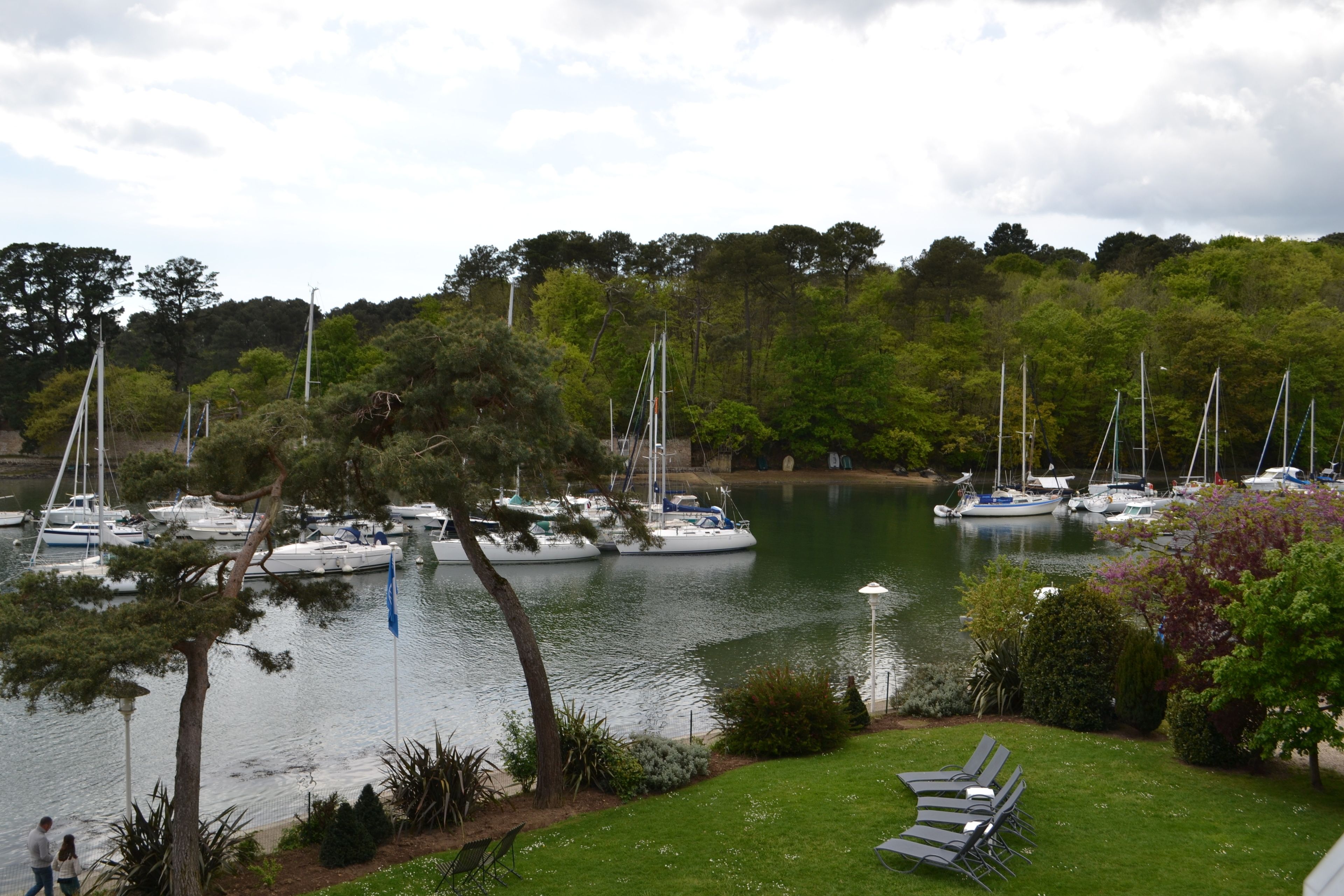 A marina with boats docked along a calm lake, surrounded by lush greenery and trees.