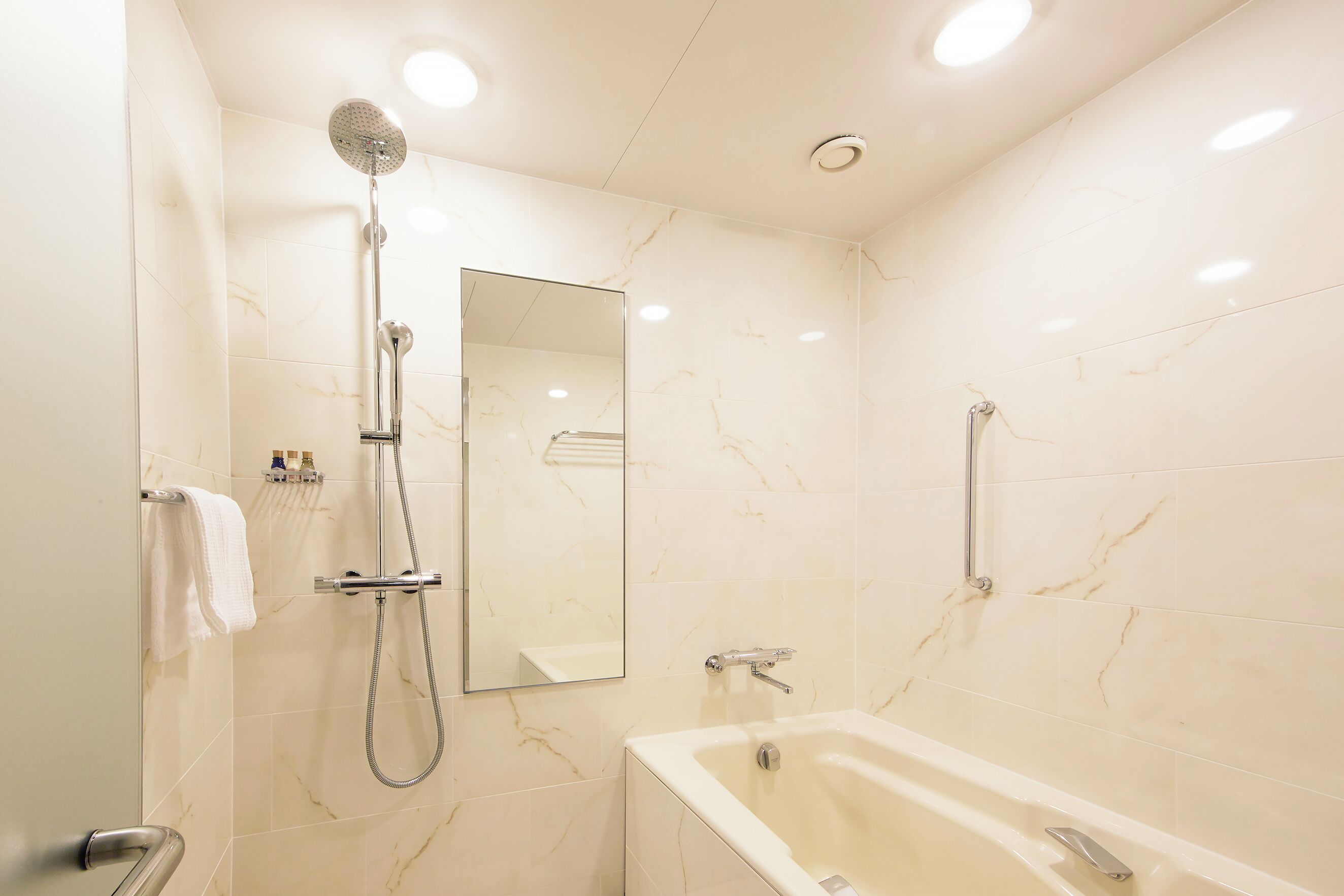 separate bathtub and shower, free toiletries, hair dryer, bathrobes