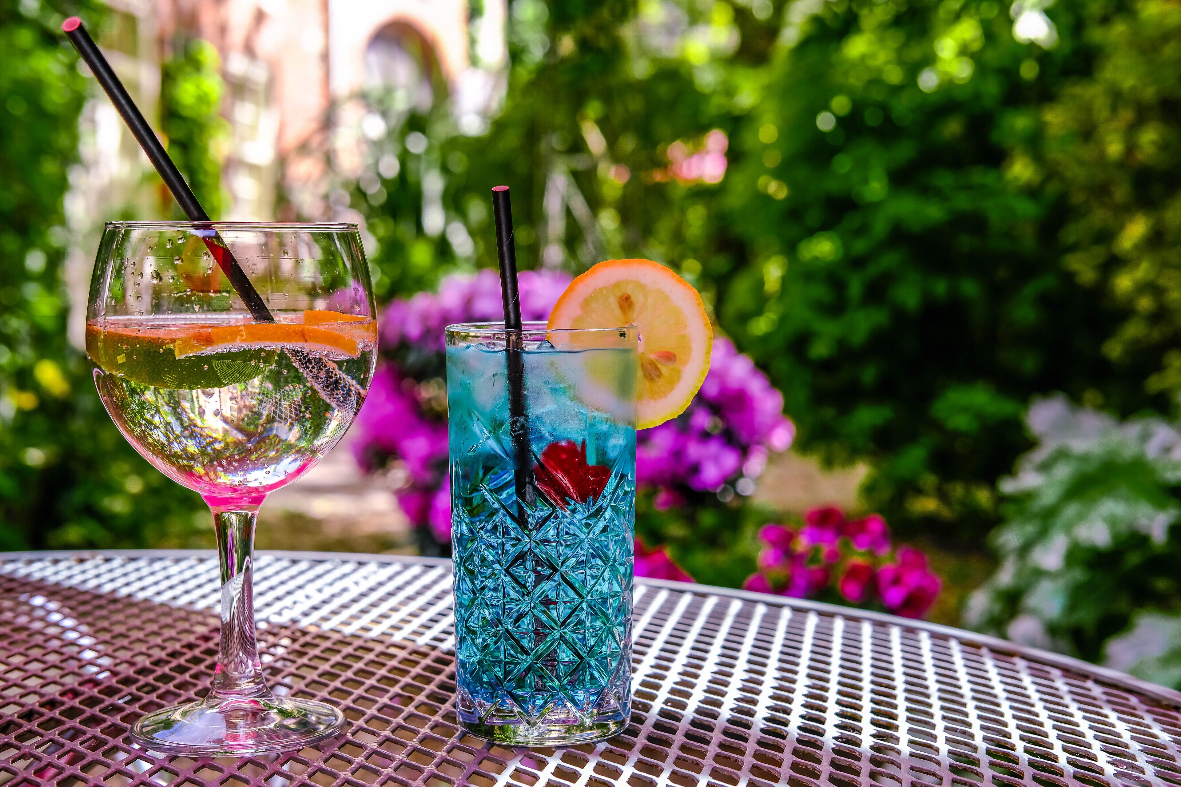 Two drinks on a metal table with a green, leafy background.