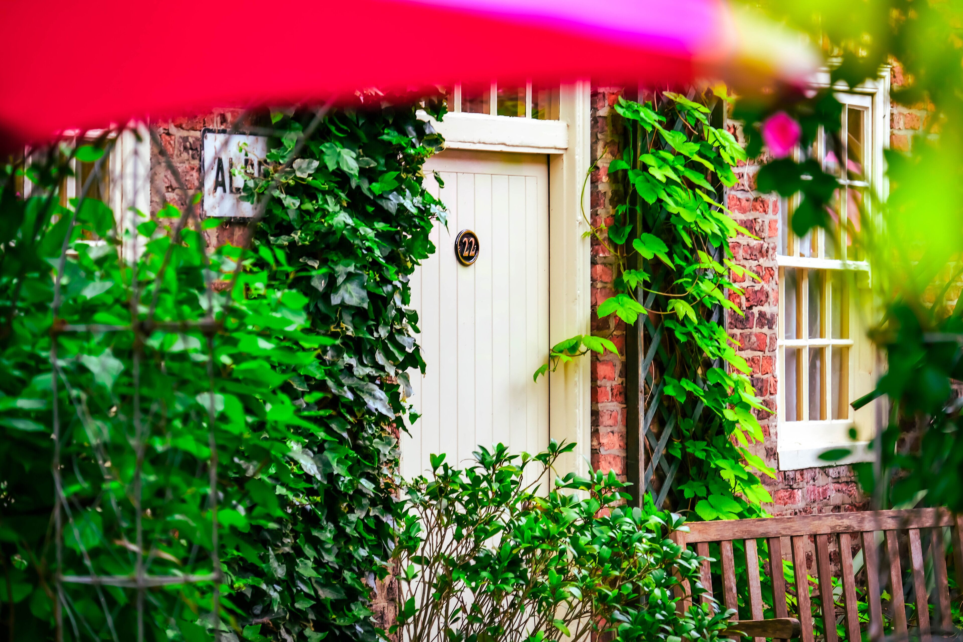 A white door with a round number plate, surrounded by lush green ivy and a wooden fence.