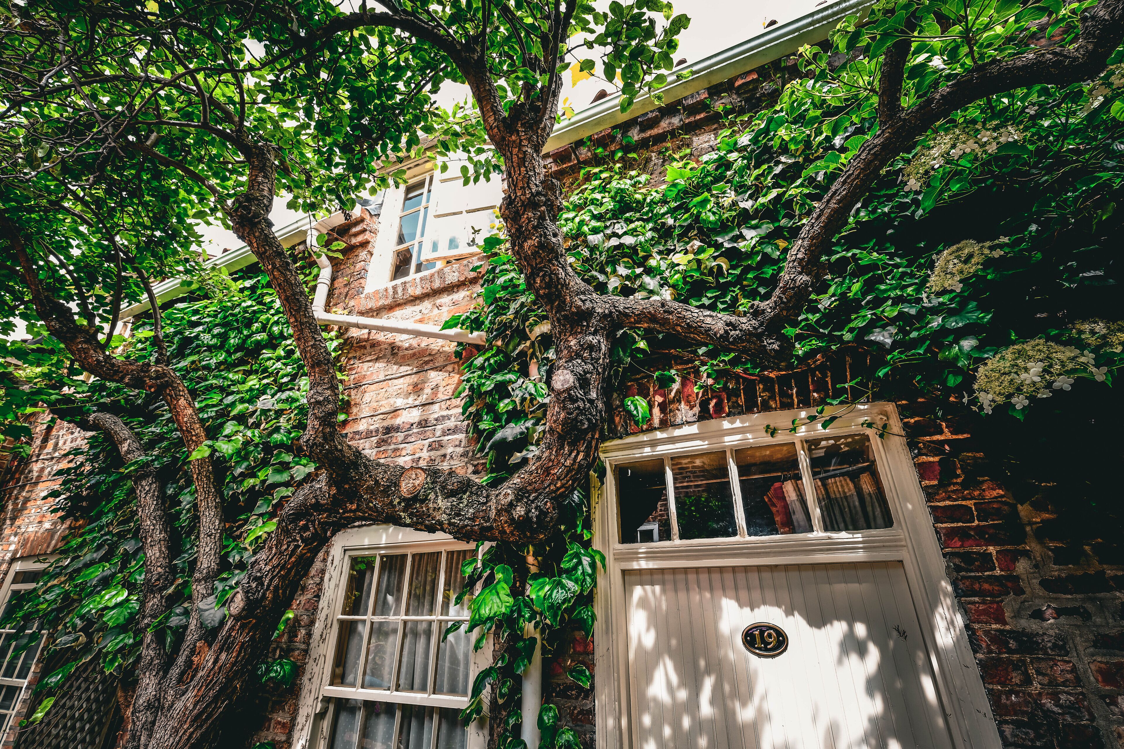 Foto - York Pavilion Hotel, BW Signature Collection